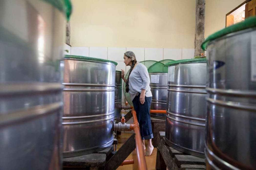Maria Izabel observando fermentação da cachaça