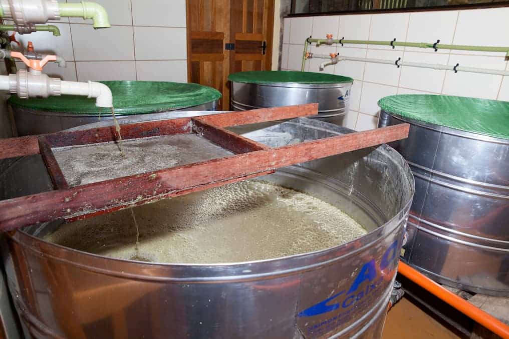 Fermentação, uma das etapas mais importantes na produção da cachaça artesanal