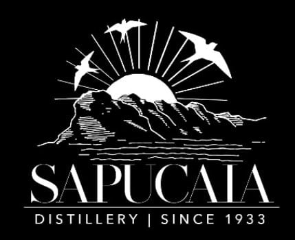 Logo-Sapucaia-2019-preto.jpg